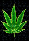 Picture for song 'Smoke Weed Or f*** You' by artist 'E2J'