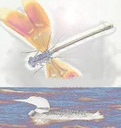 Picture for song 'Dragonflies and Loons (With Vesa Peltonen )' by artist 'Ed Drury'