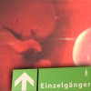 Picture for song 'embryo' by artist 'Einzelganger'