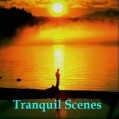 Picture for song 'Tranquil Morning' by artist 'Ellis Hadlock'