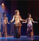 Picture for song 'MOVE' by artist 'elusive passages'