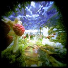 Picture for song 'Hypnotic Jungle' by artist 'Epiphany (NL)'