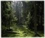 Picture for song 'Footprints' by artist 'equality'