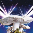 Picture for song 'Alien Mushroom Infestation' by artist 'Ergotoxin'