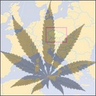 Picture for song 'Marihuana (Tripe Mix)' by artist 'Ergotoxin'