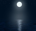 Picture for song 'Moonlight (Film) (www.errolbeats.com)' by artist 'Errol Beats'