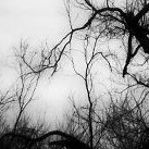Picture for song 'Creep In The Cellar (Butthole Surfers Cover)' by artist 'Ethel's Axewound'