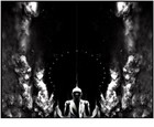 Picture for song 'Dark Half (Live)' by artist 'Eucalyptus and the Kamikaze Koalas'