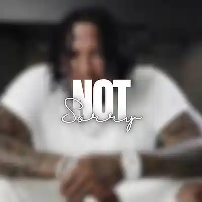 Picture for song 'Not Sorry- Buy 2 Get 2 Free' by artist 'Exclusive DJ Beatz'
