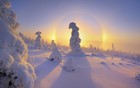 Picture for song 'December Song' by artist 'Falken'