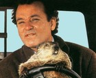 Picture for song 'Groundhog Day' by artist 'Fo ReeL'