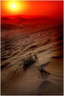 Picture for song 'Sandstorm' by artist 'Forever Neo'