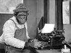 Picture for song 'Monkey Piss Preview' by artist 'Fuzzyroes'