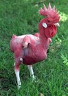 Picture for song 'Get Plucked' by artist 'Galik-C'
