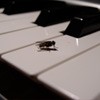 Picture for song 'Paar-Minuten-Ding' by artist 'georgeblunt'