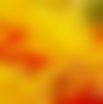 Picture for song 'The Heart of Autumn' by artist 'George Cuthbertson'