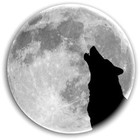 Picture for song 'Intuition' by artist 'Gino Wolfson'