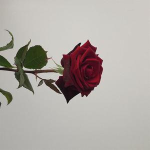 Picture for song 'Romantized (buy 1 get +1 free)' by artist 'GloryKeyz.'