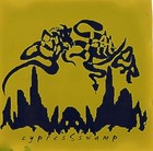 Picture for song 'i have lyme disease' by artist 'Goat Sprayer'