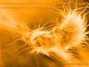 Picture for song 'Firebird Suite 1919 Ed: Katschei's Infernal Dance' by artist 'Goose Creek Bands'