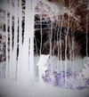 Picture for song 'Fragile Bell' by artist 'Graham's Cat'