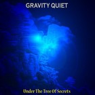 Picture for song 'Magnetic Anomaly' by artist 'Gravity Quiet'