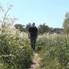 Picture for song 'Three Days In May' by artist 'Grayhen Tor'