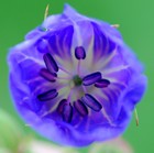 Picture for song 'Your Perfection' by artist 'Harmony Productions'