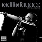 Picture for song 'Collie buddz bring it back round' by artist 'Heat team's Cortex'