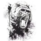 Picture for song 'Ape $hit' by artist 'Hollywood- Dha Mac'