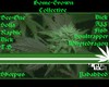 Picture for song 'dub.H.G.' by artist 'HomeGrown collective'