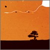 Picture for song 'China Future' by artist 'Homeless Balloon'