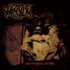 Picture for song 'Gastric disorder' by artist 'Infection (Peru)'