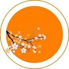 Picture for song 'oriental fantasys.mp3' by artist 'Inim Productions'