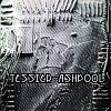Picture for song 'Tessier-Ashpool' by artist 'InterSlot Call'