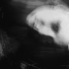 Picture for song 'The Pitiful Human Race' by artist 'Iphorill'