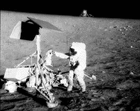 Picture for song 'Moondance' by artist 'Island'