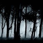 Picture for song 'Haunted Forest' by artist 'itzJreap'