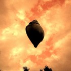 Picture for song 'L'Homme Enigmatique' by artist 'Jalal Habach'