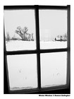 Picture for song 'Cabin Fever' by artist 'Jamey Darnold'