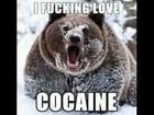 Picture for song '(Free DownLoad) Drug Life.mp3' by artist 'Jay-B Dotson'