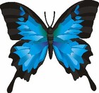 Picture for song 'Brush of Angel Wings W/Sax Trio) - Jay Droz Comp' by artist 'Jay Droz'