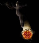 Picture for song 'technoish hop' by artist 'Jcubs instrumentals'