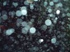 Picture for song 'A Sequence of Rains' by artist 'JMP70'