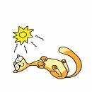 Picture for song 'Sunny Summer - Calvin Stewart' by artist 'JoiceMarie'