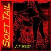 Picture for song 'Bad Luck Pennie' by artist 'J T RED'
