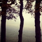 Picture for song 'Sincere-SOLD' by artist 'JuSaMeLoDy'