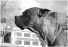Picture for song 'post confidence (2007)' by artist 'Juveous'