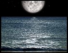 Picture for song 'New' by artist 'JVG (SP)'