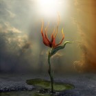 Picture for song 'Raining light bound' by artist 'JVG (SP)'